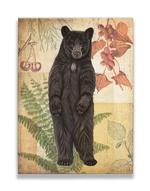 Wildwood Black Bear Product Thumbnail
