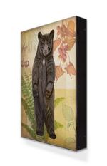 Wildwood Black Bear Box Art Product Thumbnail