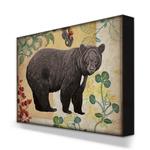 Wildwood Black Bear 2 Box Art Product Thumbnail