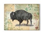 Wildwood Bison Product Thumbnail