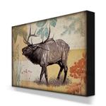 Wildwood Elk Box Art Product Thumbnail