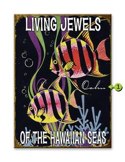 Snorklers' Paradise Product Thumbnail