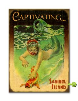 Captivating Mermaids Product Thumbnail