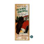 Scenic Drives with Bear Jams Product Thumbnail
