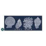 Seashell Latitude Product Thumbnail