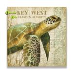 Reef Wanderers: The Mossy Turtle Product Thumbnail