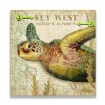 Reef Wanderers: The Sunlit Turtle Product Thumbnail