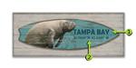 Manatee Surfboard Product Thumbnail