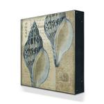 Indigo Shells: Whelk Pair Product Thumbnail