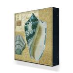 Indigo Shells: Scallop and Olive Product Thumbnail