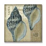 Indigo Shells: Whelk Pair Product Thumbnail