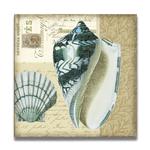 Indigo Shells: Scallop and Olive Product Thumbnail